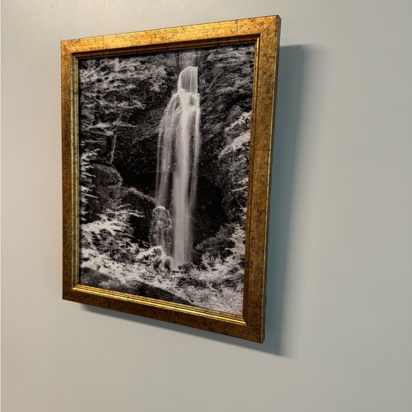 Painted Picture 🖼 - Picture 8 of 9